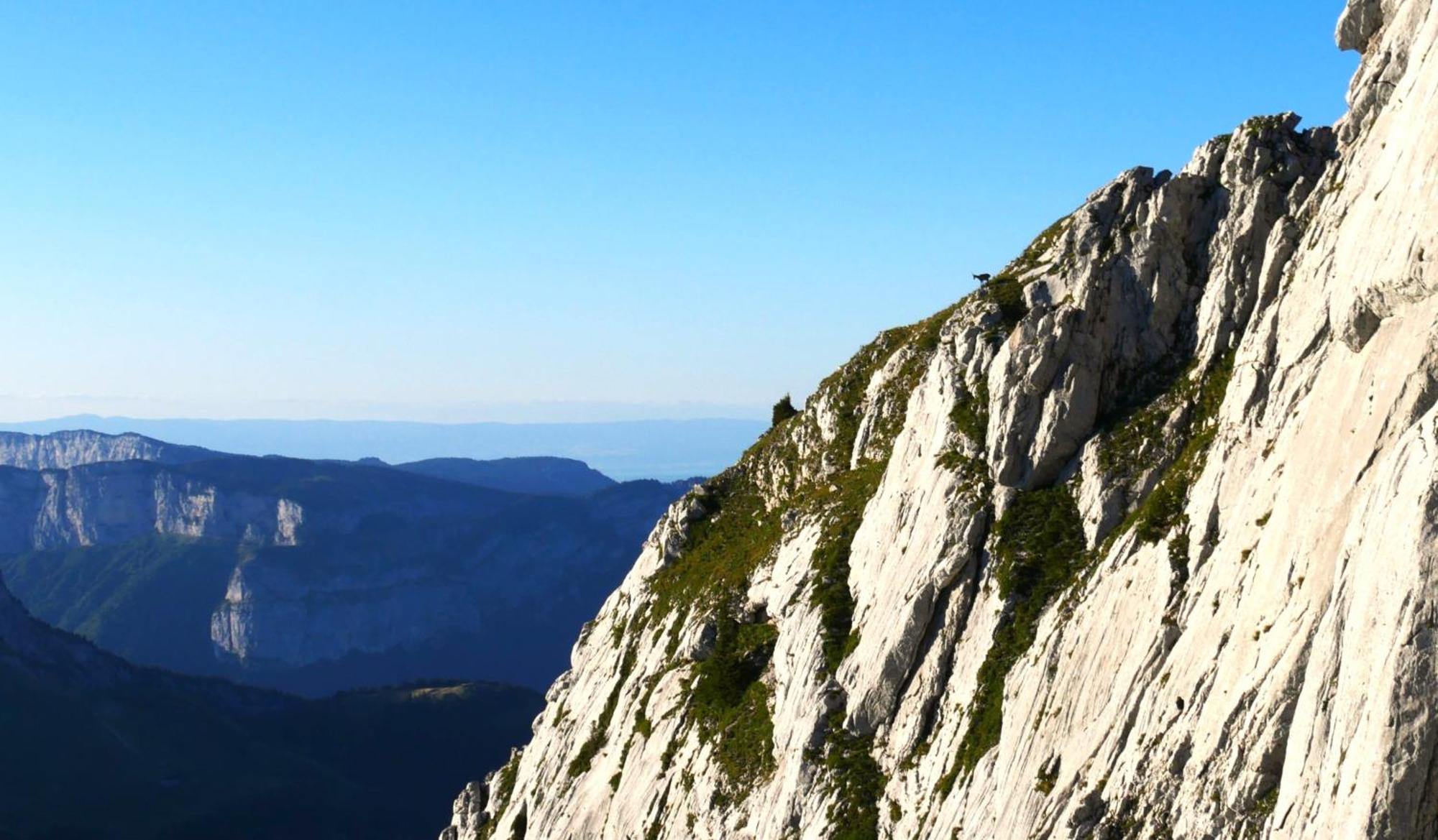 4 Personnes D'annecy * Lathuile